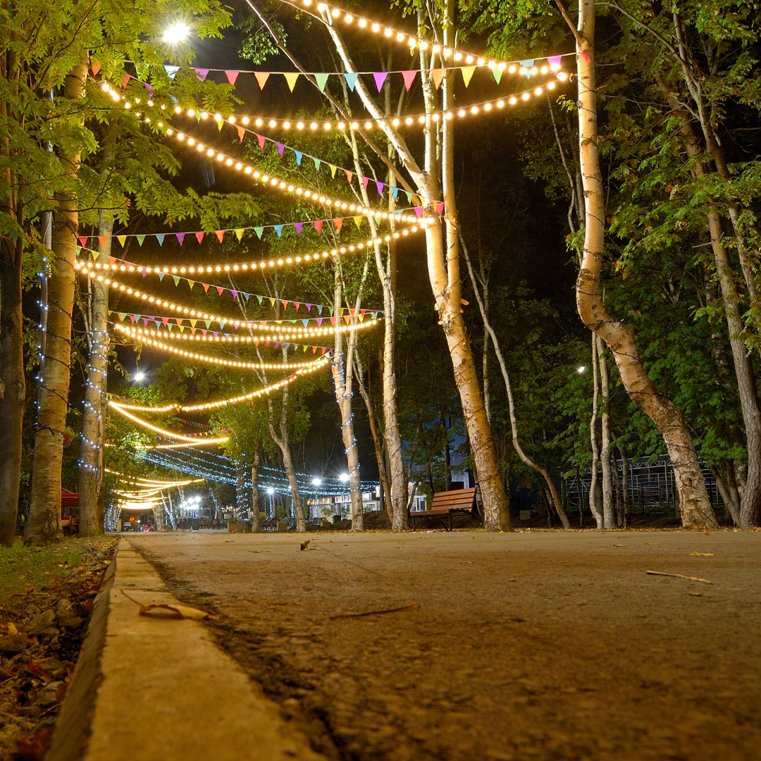 Make Your Party Stand Out with These Creative Lighting Ideas